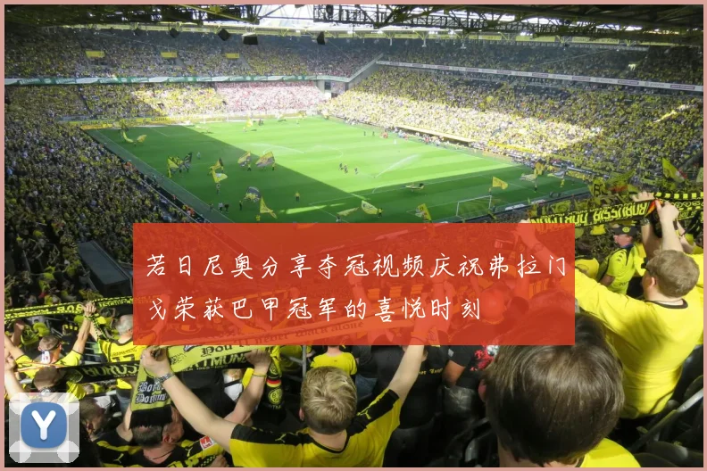 若日尼奥分享夺冠视频庆祝弗拉门戈荣获巴甲冠军的喜悦时刻
