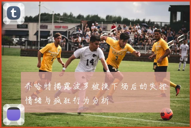 乔哈特揭露波罗被换下场后的失控情绪与疯狂行为分析