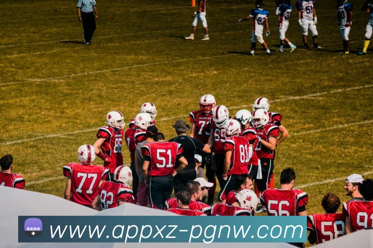 PG电子赏金女王平台生态图